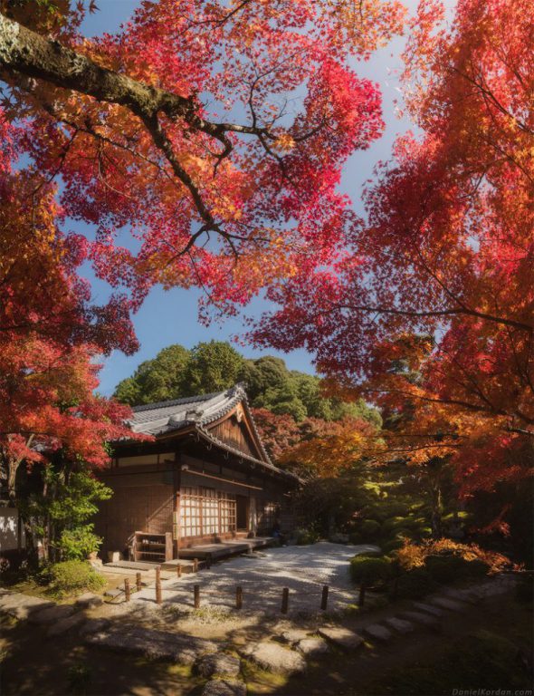 تصاویری زیبا از پاییز رویایی ژاپن!