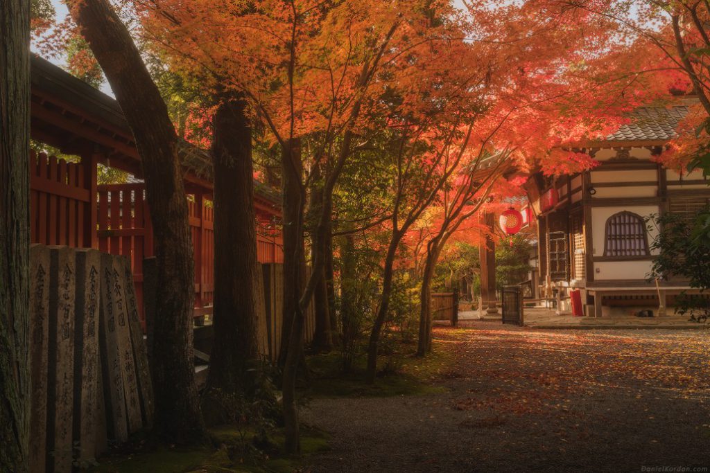 تصاویری زیبا از پاییز رویایی ژاپن!