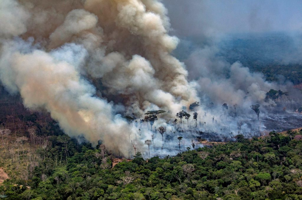 محققان ارتباط بین انقراض گیاه‌خواران و افزایش آتش‌سوزی در طبیعت را پیدا کردند