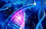تلاش هکرها برای سرقت اطلاعات DNA از یک مرکز آزمایش ژنتیک در آمریکا