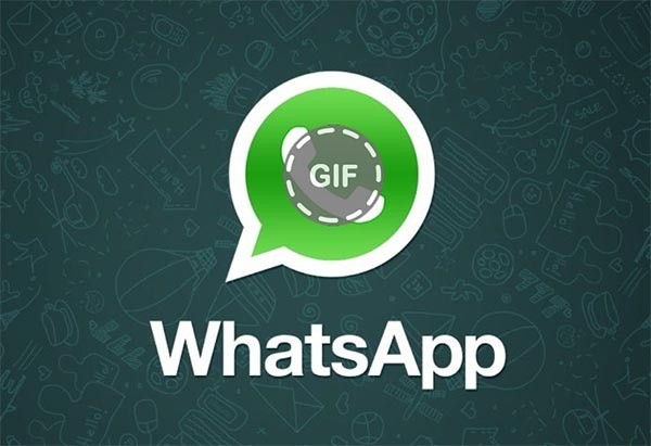 آموزش نحوه ساخت و ارسال فایل‌های GIF (گیف) در واتس‌اپ