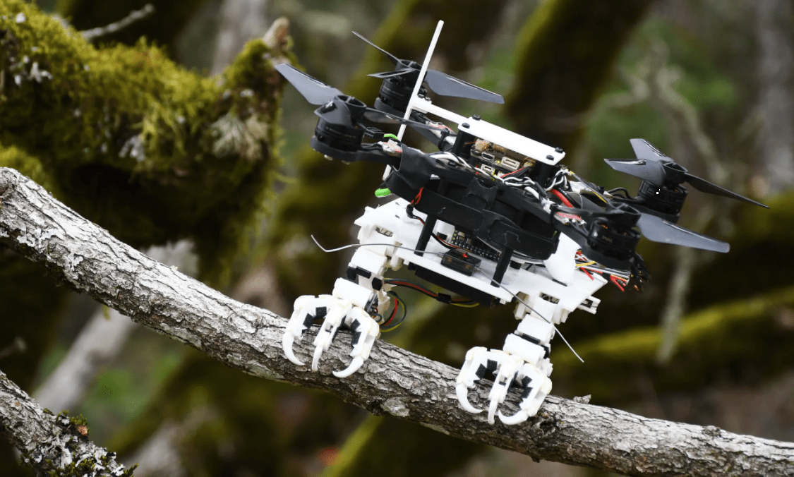 ربات پرنده اسنگ (SNAG) می‌تواند با نشستن بر روی شاخه، اجسام کوچک را روی هوا بگیرد