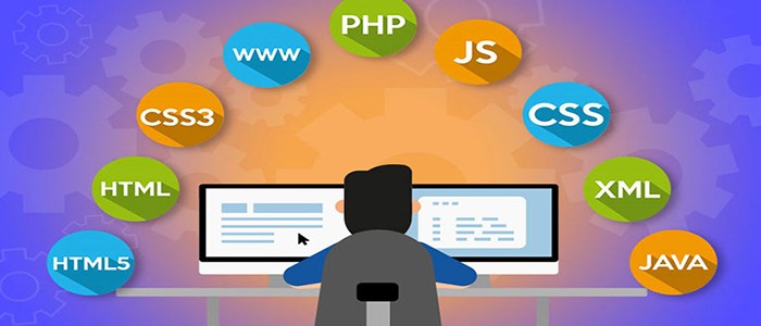 آیا با بررسی نمونه طراحی سایت می توانیم به تخصص شرکت طراحی سایت پی ببریم؟