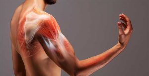آسیب های عضلانی - بایدها و نبایدها پس از کشیدگی عضله