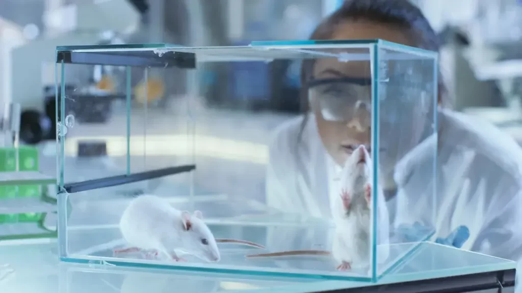 محققان راز چشمه حیات را در ژن موش‌ها پیدا کردند