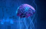 ترکیب مغز انسان با هوش مصنوعی با قرارگیری سلول های زنده مغزی بر روی یک تراشه