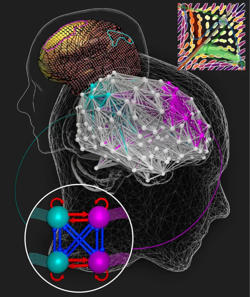 آیا سرعت تفکر با هوش انسان ارتباط مستقیم دارد؟