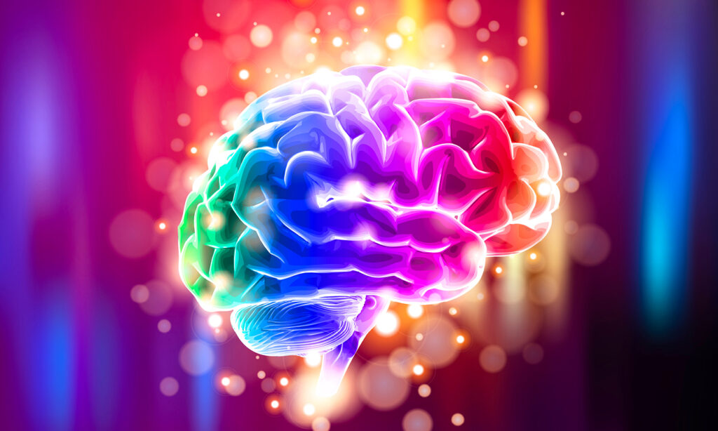آیا اکثر انسان ها تنها از 10 درصد مغز خود استفاده می کنند؟