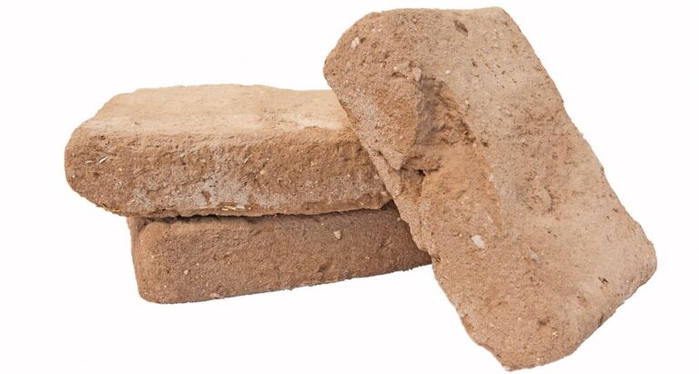 یک آجر 2900 ساله از رمز و رازهای حیات باستانی پردهبرداری میکند