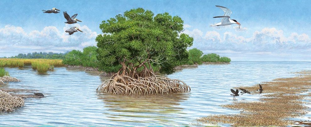 یک آجر 2900 ساله از رمز و رازهای حیات باستانی پردهبرداری میکند