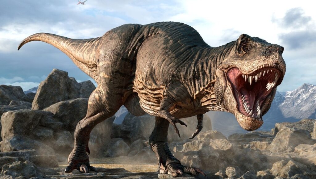مجموعه‌ای از فسیل‌های دایناسور‌های متعلق به خانواده تی‌رکس‌ها در مراکش کشف شدند
