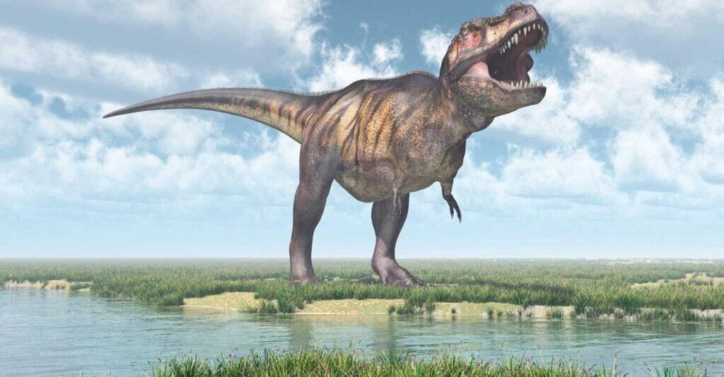 مجموعه‌ای از فسیل‌های دایناسور‌های متعلق به خانواده تی‌رکس‌ها در مراکش کشف شدند