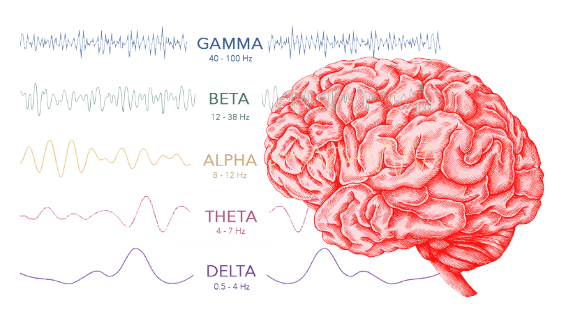 به یاد آوردن یک اتفاق تاثیر بیشتری بر امواج مغزی نسبت به وقوع خود اتفاق دارد!