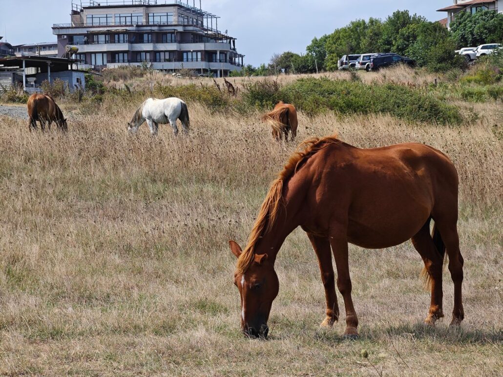 کیت عکاسی گوشی شیائومی ۱۳ اولترا