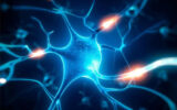 انقلابی در حوزه ترمیم اعصاب؛ دانشمندان پروتئین مهمی را در موش ها کشف کردند!