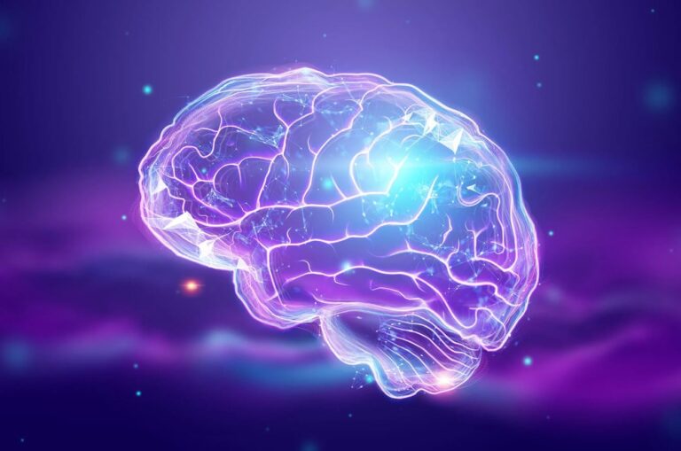 کشف جدید درباره منطقه باستانی مغز؛ مهمتر از آنچه قبلا تصور می‌شد!