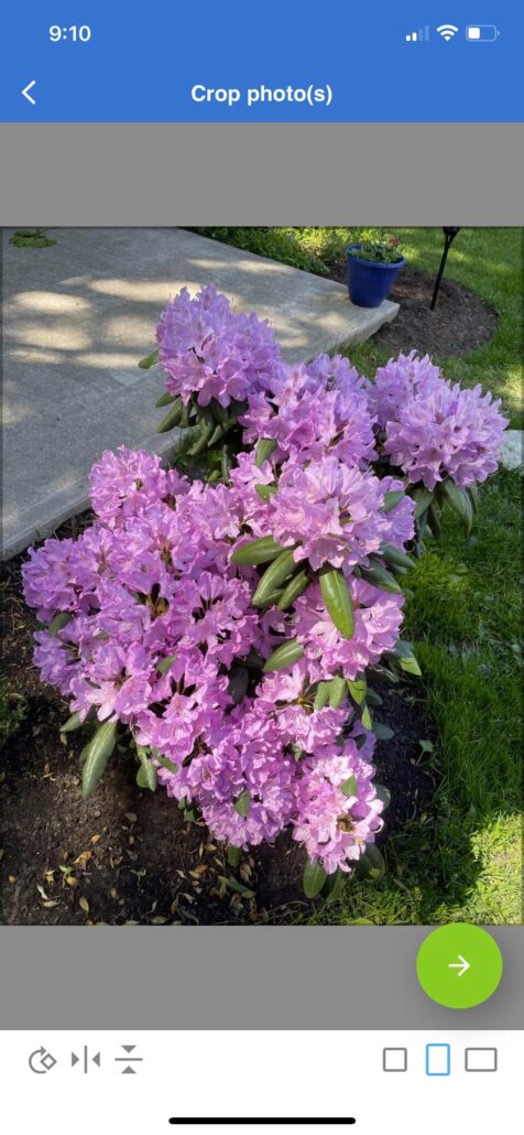 8 تا از بهترین برنامه های رایگان برای تبدیل عکس به نقاشی