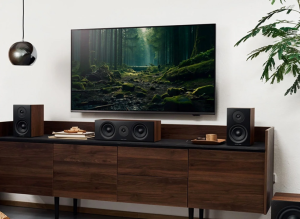 آموزش وصل کردن اسپیکر به انواع تلویزیون