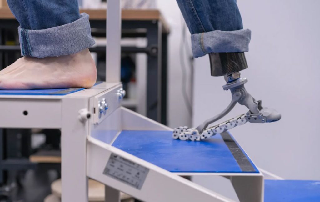 یک پای مصنوعی با عملکردی بهتر استخوان‌های پای واقعی را شبیه‌سازی می‌کند!