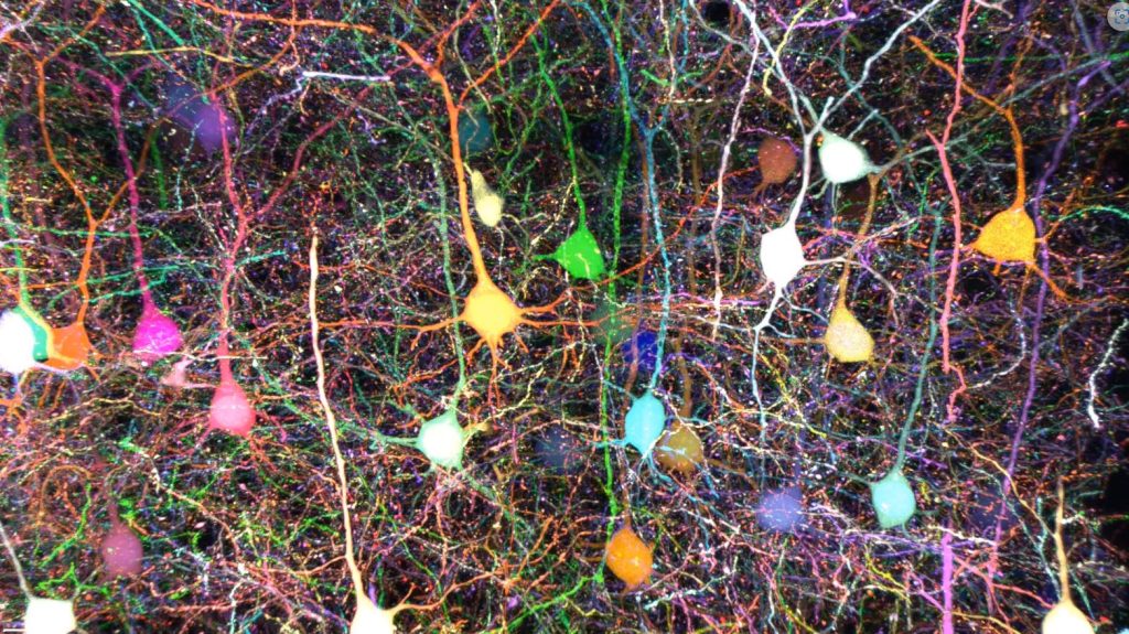 چشمِ فوقانسانیِ هوش مصنوعی دانشمندان را یک قدم به درک پیچیدهترین و مرموزترین بعد وجودی ما نزدیکتر میکند!