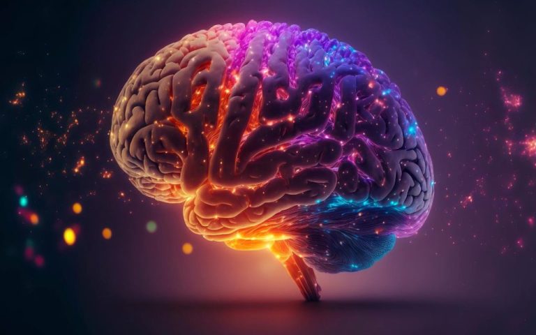 کشف یک آنزیم کلیدی که حذف آن میتواند موجب تقویت حافظه در سنین بالا شود!