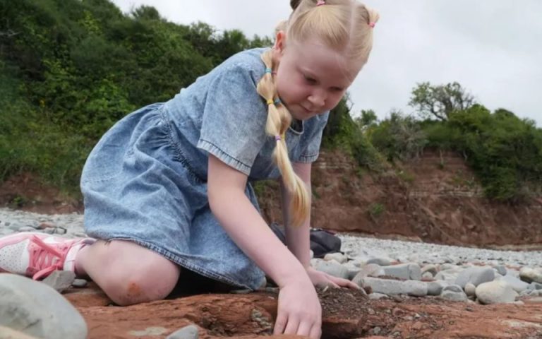 یک دختر کوچک رد پای 200 میلیون ساله یک دایناسور را در سواحل ولز کشف کرد!