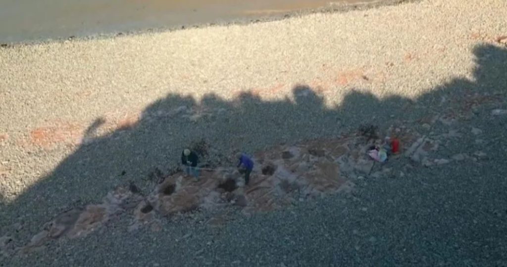 دختر کوچکی رد پای 200 میلیون ساله یک دایناسور را در سواحل ولز کشف کرد!