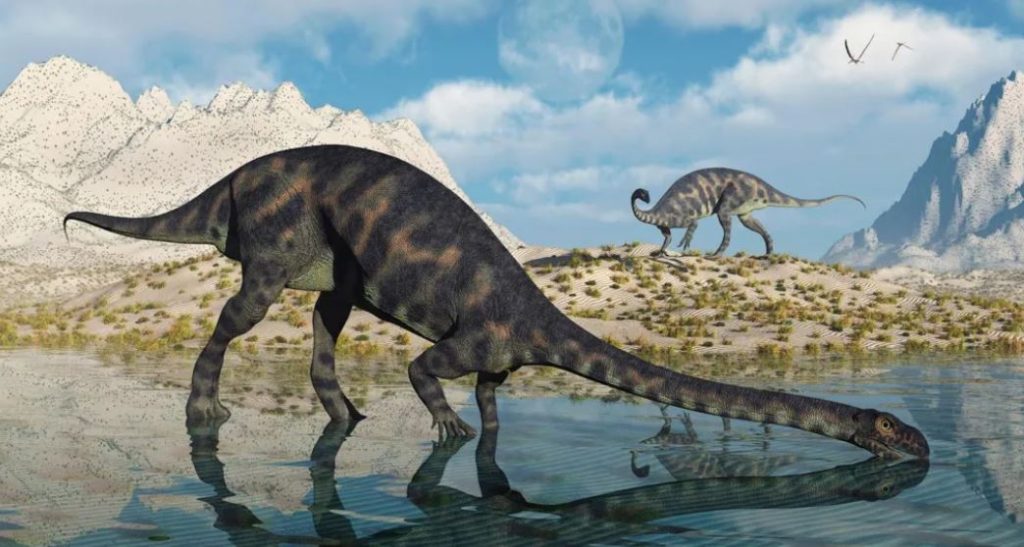 دختر کوچکی رد پای 200 میلیون ساله یک دایناسور را در سواحل ولز کشف کرد!