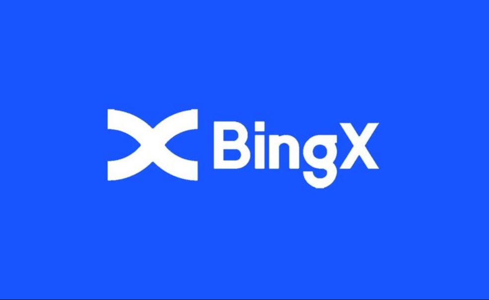 بینگ ایکس بهتره یا کوینکس؟