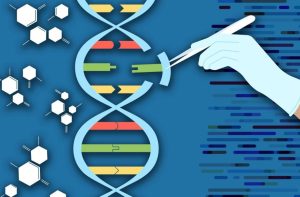 DNAهای کشف شده در آفریقای جنوبی ثبات ژنتیکی این ناحیه را نشان می‌دهد!