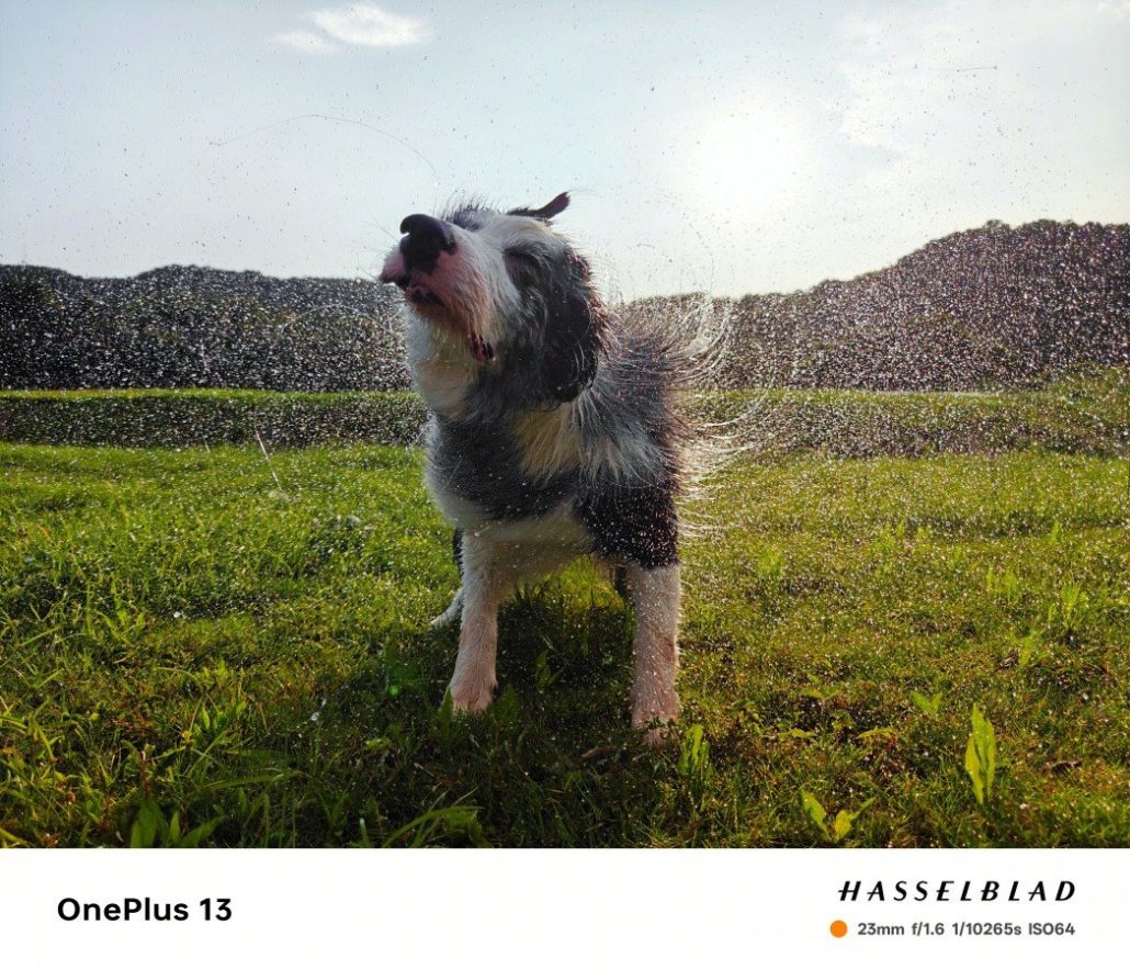 گوشی وان پلاس 13 بهزودی با سه دوربین 50 مگاپیکسلی از راه میرسد!