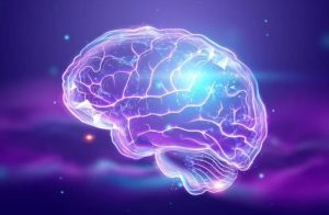 آیا میتوانیم حافظهها را مهندسی کنیم؟ تلاشی برای درمان آلزایمر!