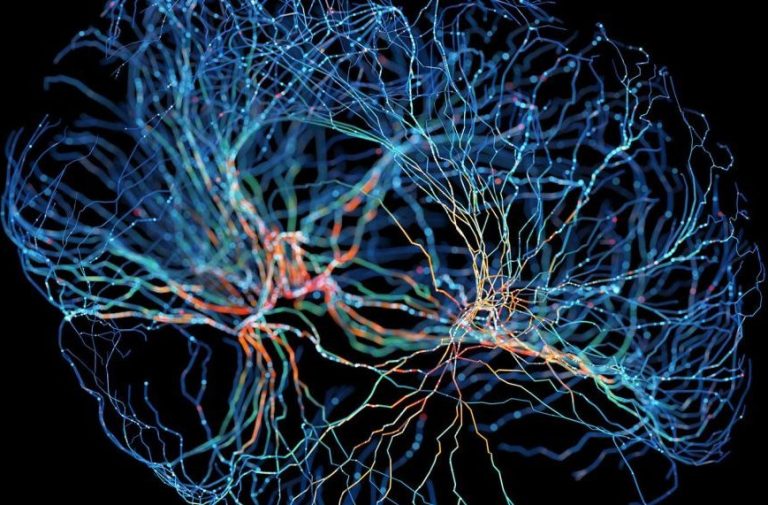 فناوری جدید نقشهبرداری مغز میتواند درمان اختلالات عصبی را متحول کند!