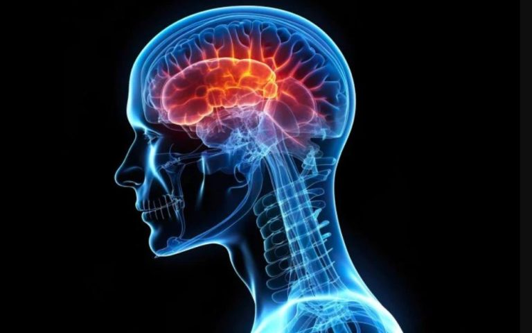 دانشمندان کشف کردند که چگونه آسیبهای مغزی میتواند منجر به آلزایمر شود!