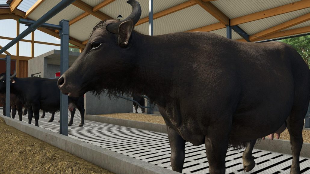 تمامی حیواناتی که میتوانید در بازی Farming Simulator 25 پرورش دهید!