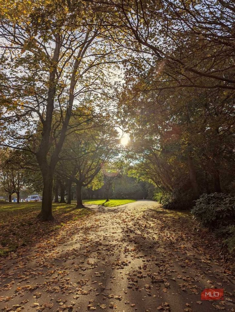 7 نکته کاربردی برای عکاسی حرفه‌ای با گوشی در پاییز