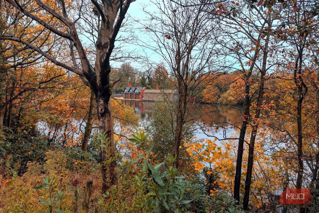 7 نکته کاربردی برای عکاسی حرفه‌ای با گوشی در پاییز