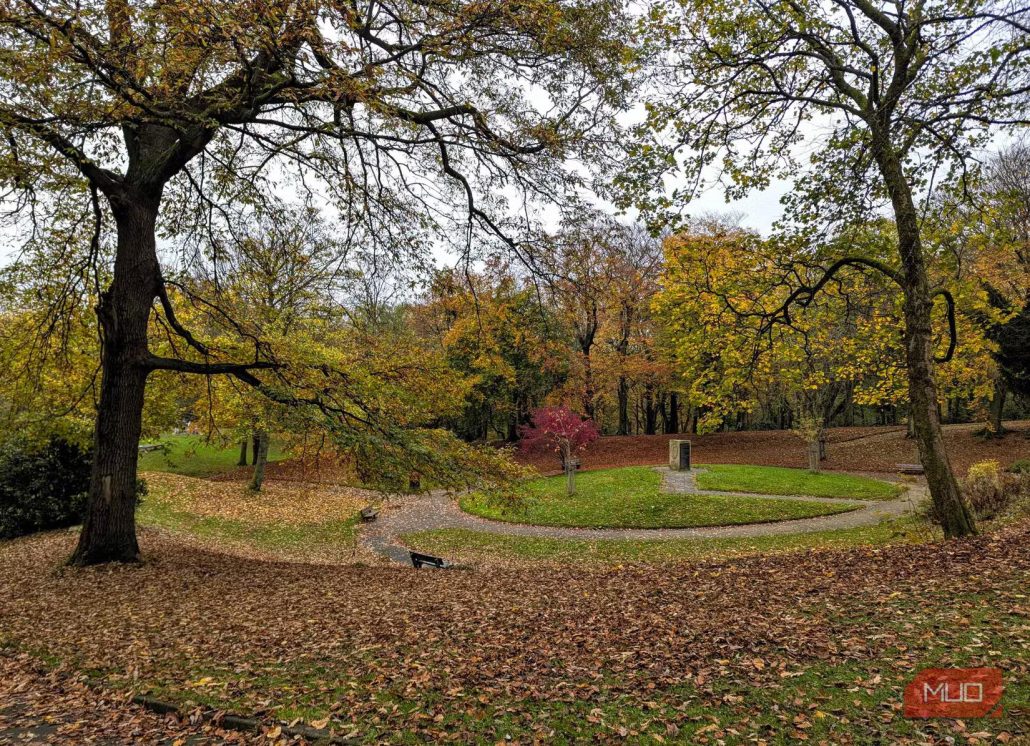 7 نکته کاربردی برای عکاسی حرفه‌ای با گوشی در پاییز