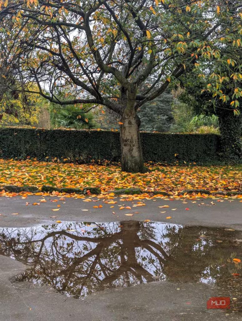 7 نکته کاربردی برای عکاسی حرفه‌ای با گوشی در پاییز