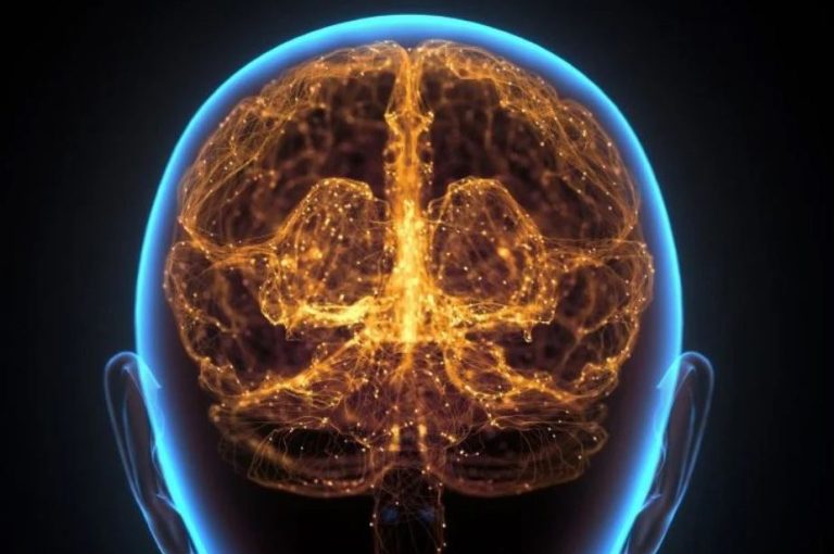 ۲۵ سال مطالعه اسرار عملکرد شناختی مادامالعمر را آشکار میکند!