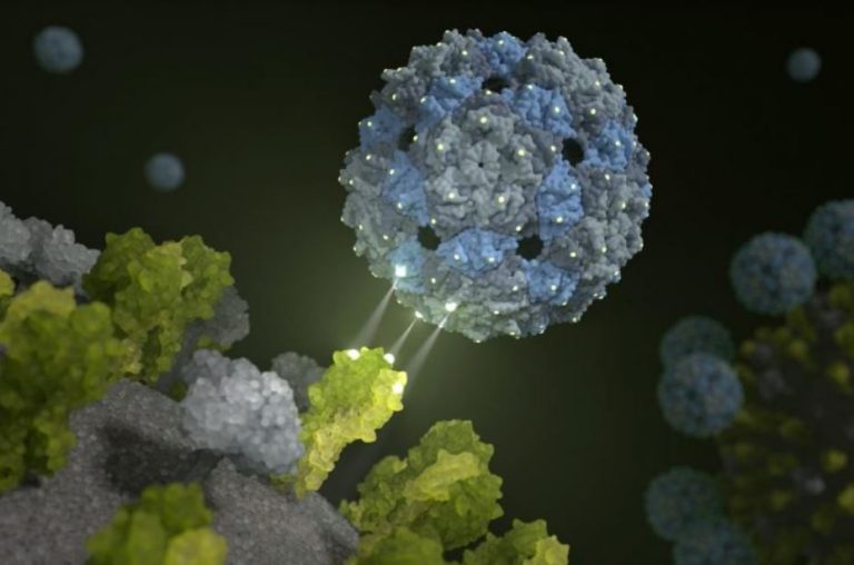 ویروس‌ها یاد می‌گیرند که همکاری کنند؛ کشفی که درمان با فاژها را متحول می‌کند!