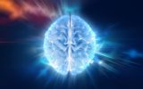 رمزگشایی اسرار مغز انسان؛ چه چیزی ما را منحصربهفرد میکند؟