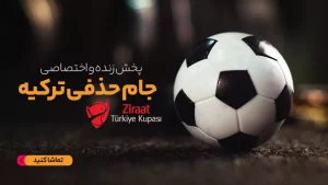 جام حذفی ترکیه