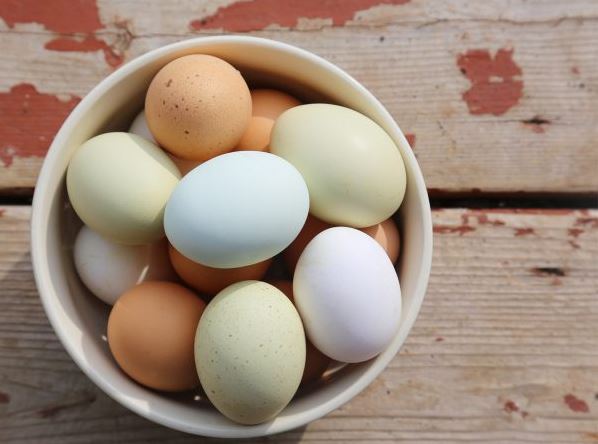 کاهش خطر مرگ ناشی از بیماری های قلبی با مصرف تخم مرغ!