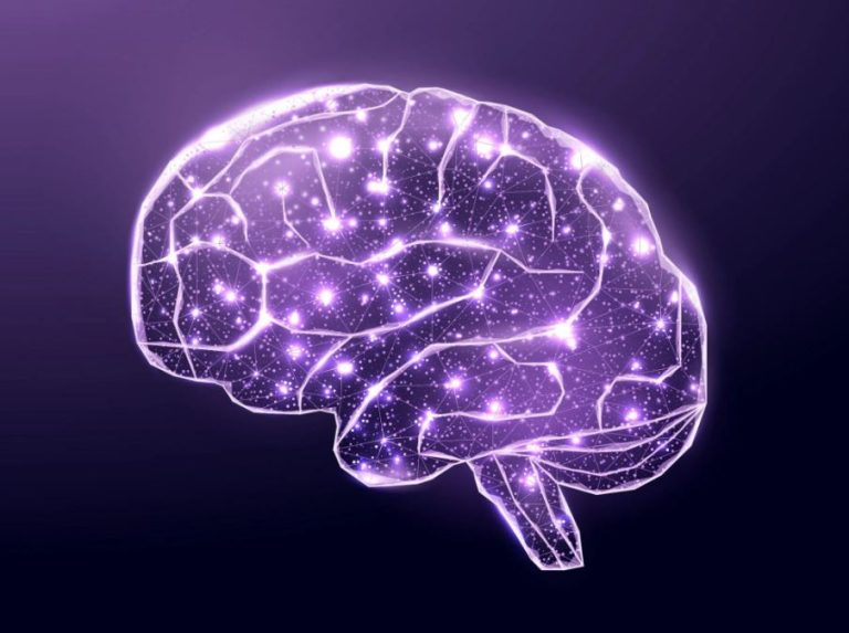 قشر مغز انسان چگونه آینده را پیش‌بینی می‌کند؟!