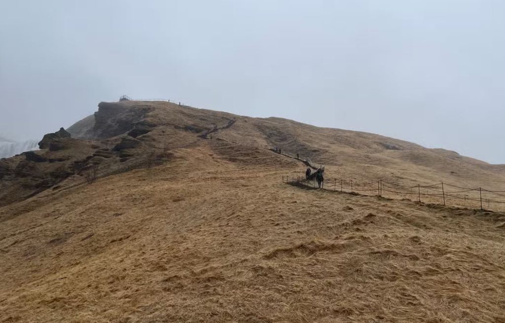 با این ترفندها، عکسهای زیباتری با گوشی خود بگیرید!