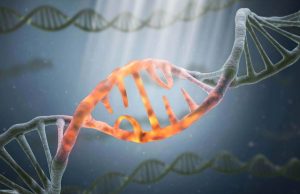 ترمیم آسیب DNA؛ دانشمندان مزایای جدید مکمل ملاتونین را شناسایی کردند!