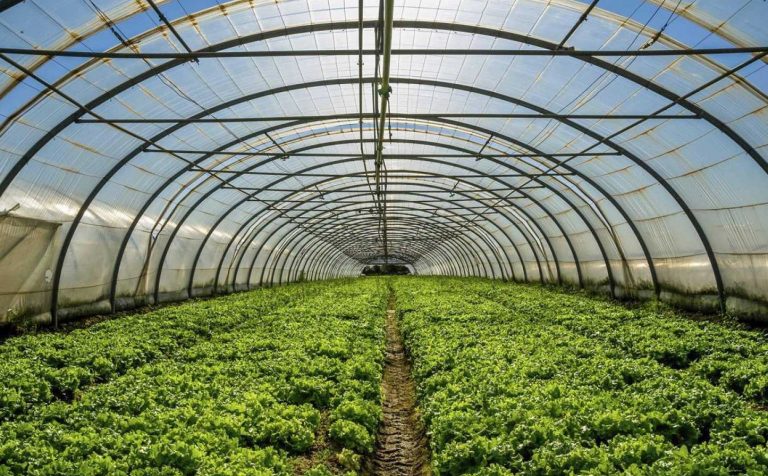 بهترین نایلون گلخانه برای فصل سرما