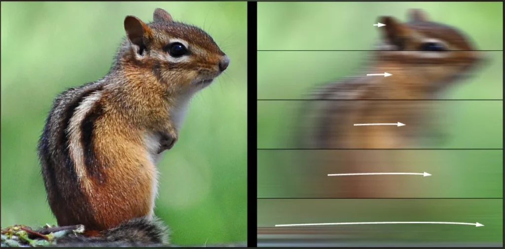 ناپدید در یک پرش ناگهانی چشم: چرا نمیتوانیم حرکتهای بسیار سریع را ببینیم؟