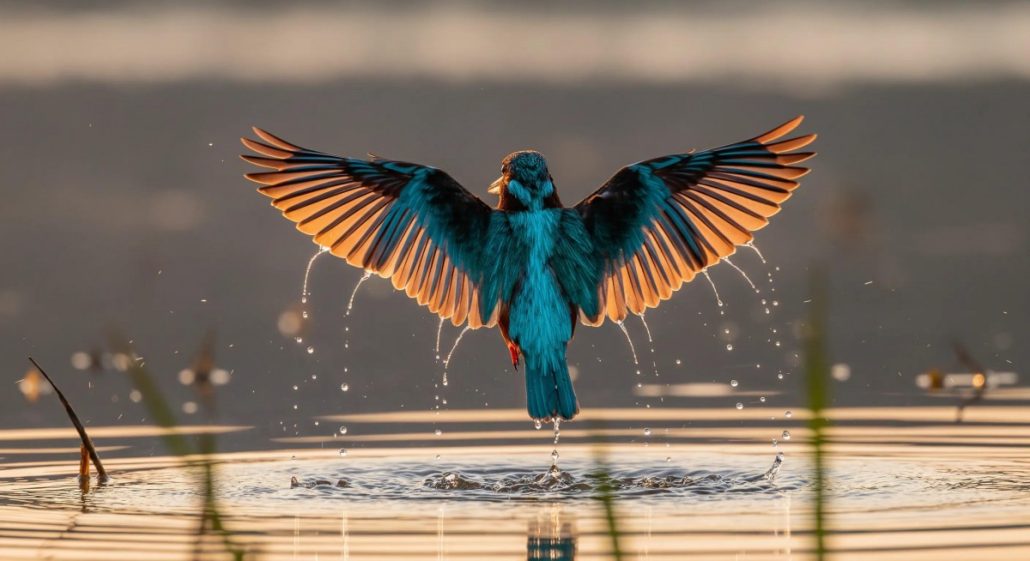 گوگل در رویداد Google I/O 2025 از جدیدترین مدلهای هوش مصنوعی خود رونمایی کرد